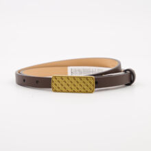 Brown & Gold Tone Belt