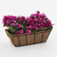 Fuchsia Azalea Window Box 56x30cm  - Image 1 - please select to enlarge image