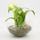 Yellow Artificial Mini Tulips 23x16cm - Image 1 - please select to enlarge image