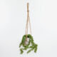 Green Artificial Hanging Plant 16x13cm - Image 1 - please select to enlarge image