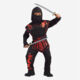 Dragon Ninja Fancy Dress Costume - Image 1 - please select to enlarge image