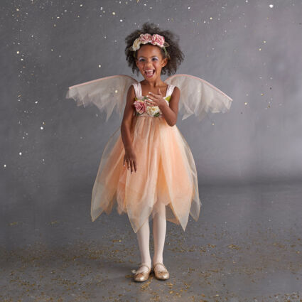 Pink & Gold Fairy Outfit - Image 1 - please select to enlarge image