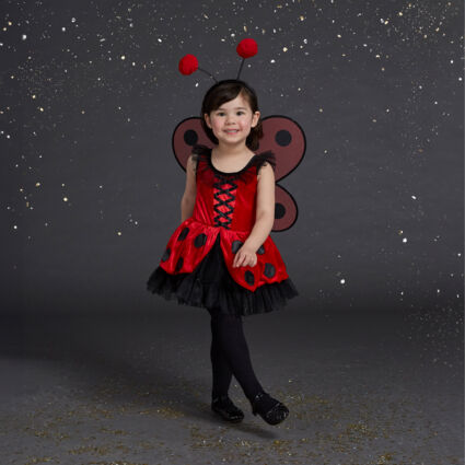 Ladybug Fairy Fancy Dress Costume - Image 1 - please select to enlarge image