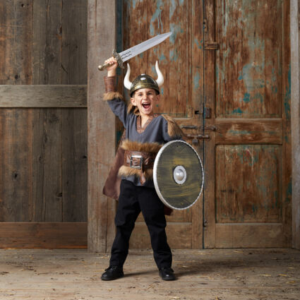 Viking Fancy Dress Costume - Image 1 - please select to enlarge image