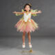 Multicoloured Fairy Wings & Skirt - Image 1 - please select to enlarge image