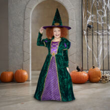 Purple & Green Potion Witch Fancy Dress