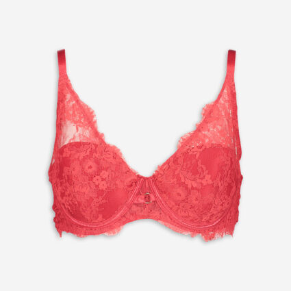 Red Lace Bra - Image 1 - please select to enlarge image
