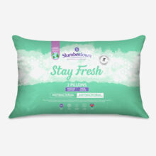 Antibacterial Two Pillows