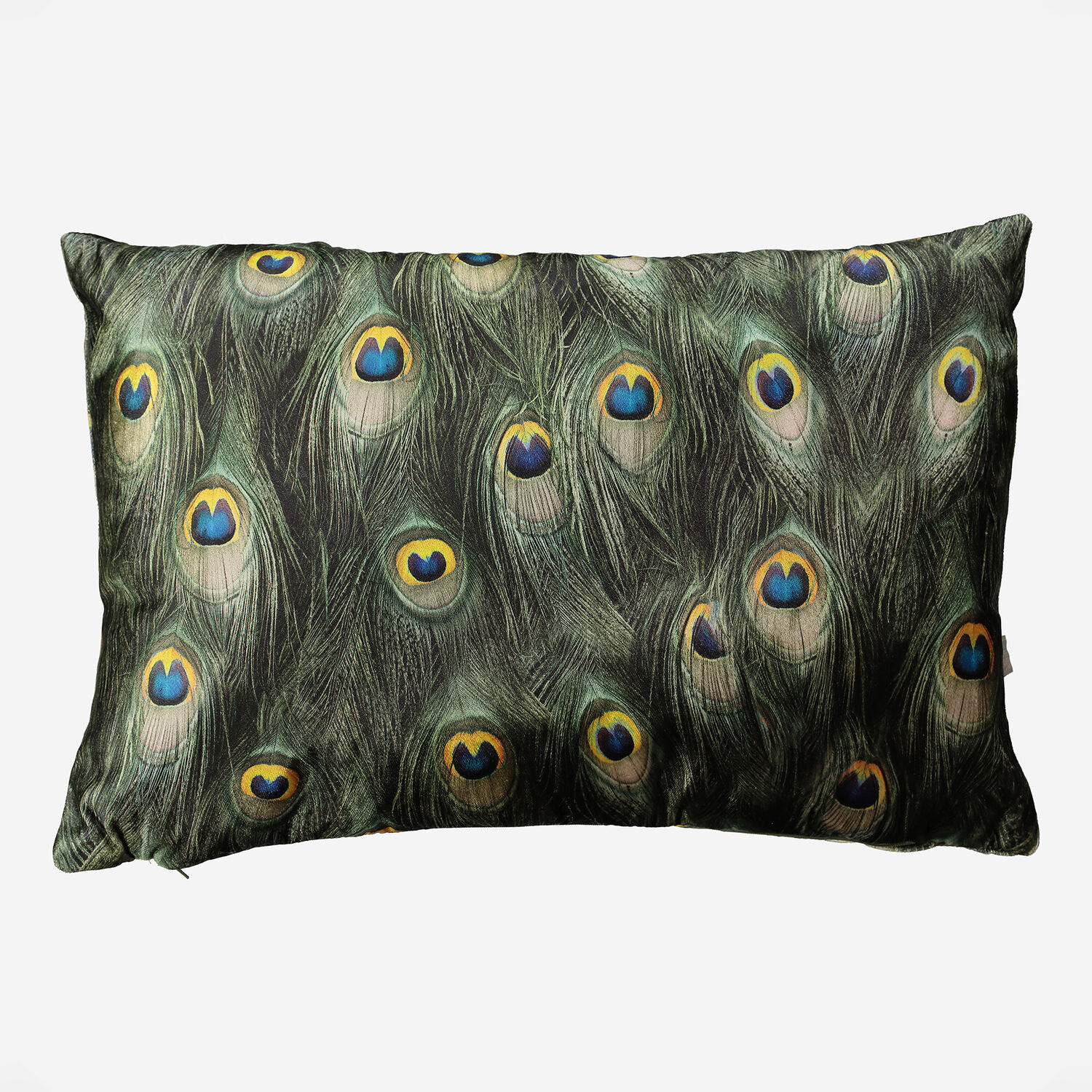 Green Peacock Feather Cushion 40x60cm TK Maxx UK