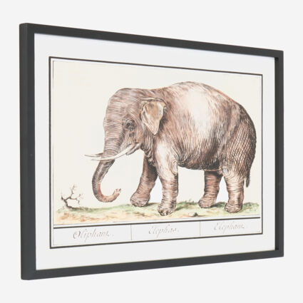 Asiatic Elephant Wall Art 62x42cm - Image 1 - please select to enlarge image