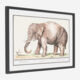 Asiatic Elephant Wall Art 62x42cm - Image 1 - please select to enlarge image