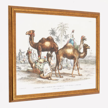 Caravan Of Camels Wall Art 56x45cm - Image 1 - please select to enlarge image