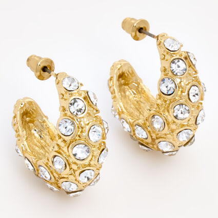 Gold Tone Diamante Hoop Earrings - TK Maxx UK