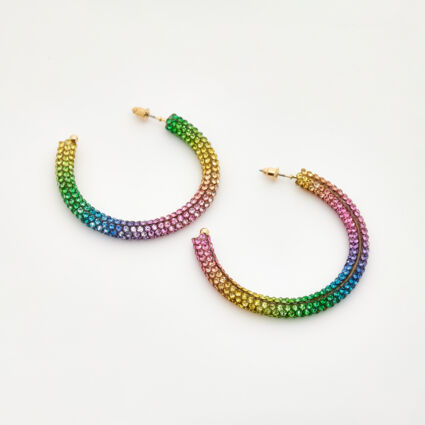 Multicoloured Crystal Hoop Earrings  - Image 1 - please select to enlarge image