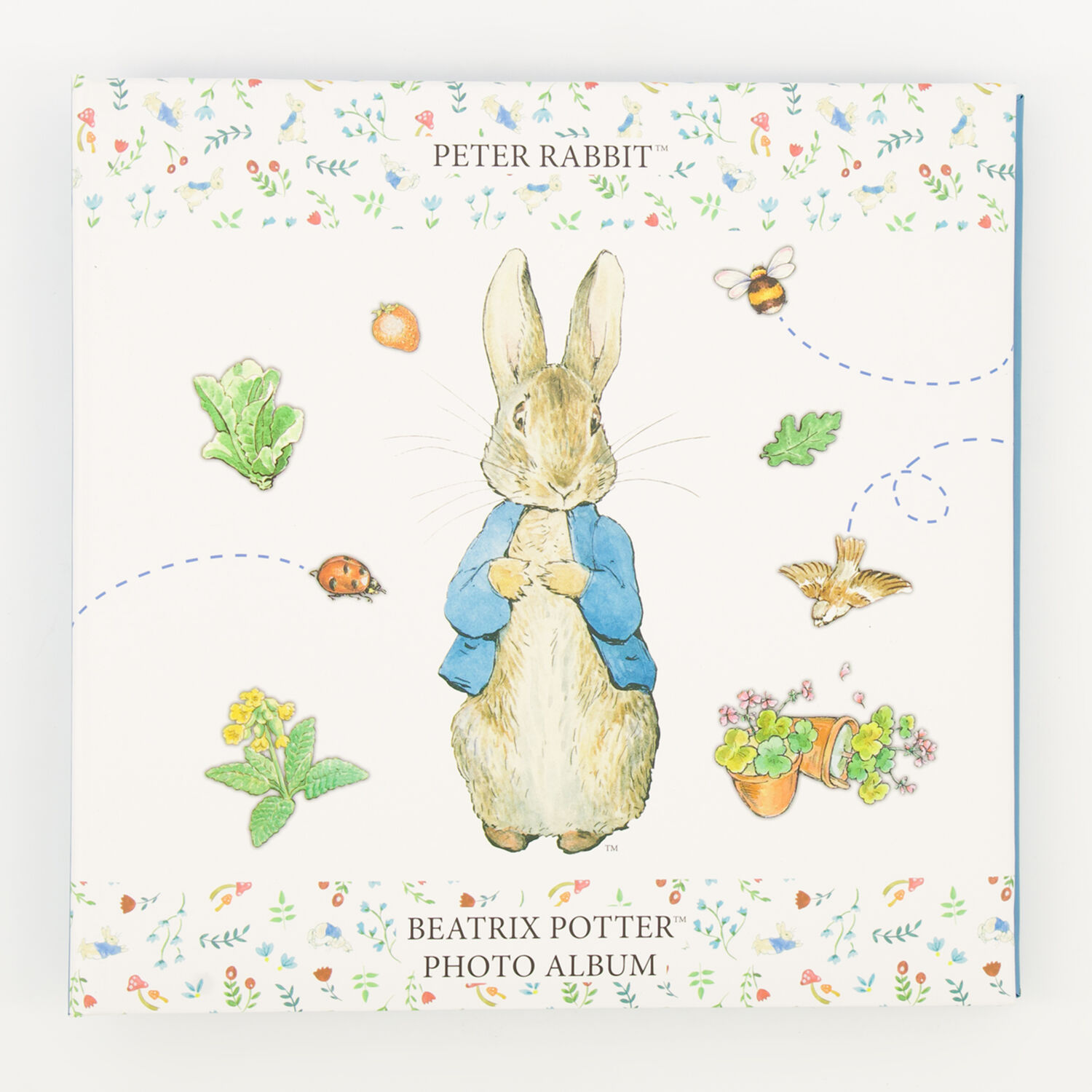 A Beatrix Potter Photograph Album