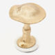 Gold Tone Antique Mushroom Ornament 25x20cm - Image 1 - please select to enlarge image