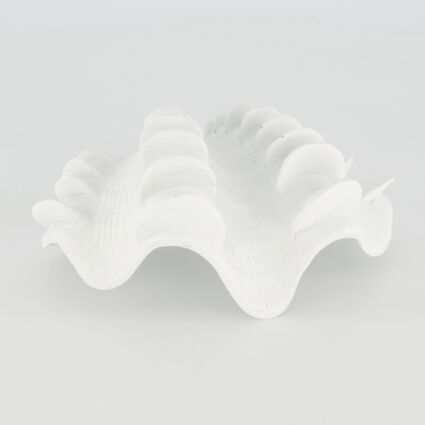 White Seashell 7x17cm - Image 1 - please select to enlarge image