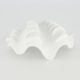 White Seashell 7x17cm - Image 1 - please select to enlarge image