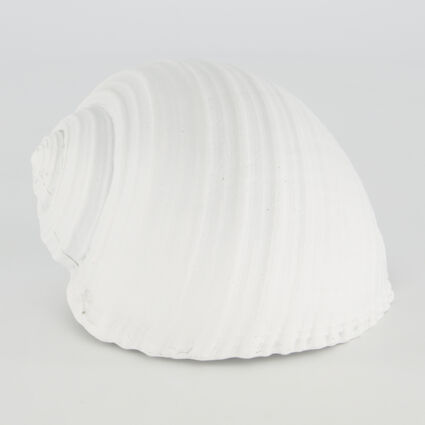 White Seashell 12x15cm - Image 1 - please select to enlarge image