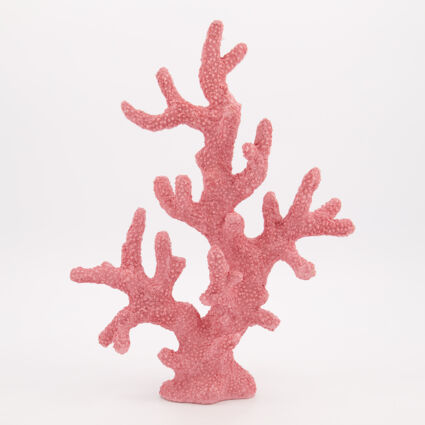 Pink Coral 38x28cm - Image 1 - please select to enlarge image