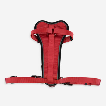 Red Dog Harness  - Image 1 - please select to enlarge image