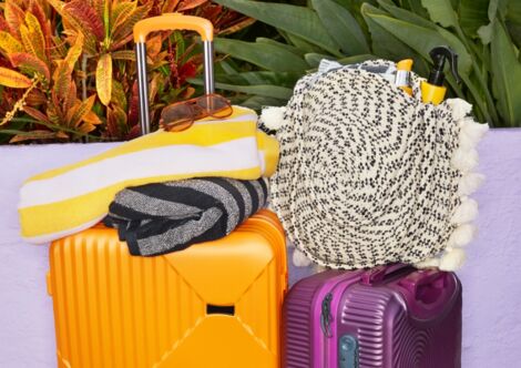 Travel Bags - Cabin Bags, Weekend Bags & Holdalls - TK Maxx UK